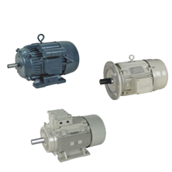 Induction Motor